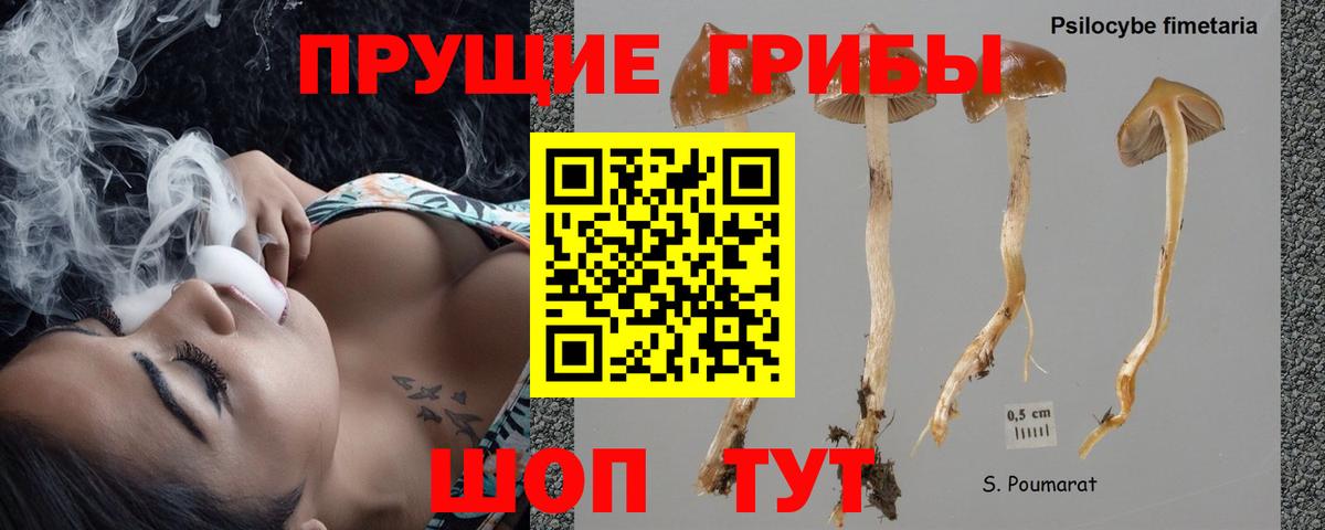 Псилоцибиновые грибы ЛСД  Вход с VPN  Железноводск 